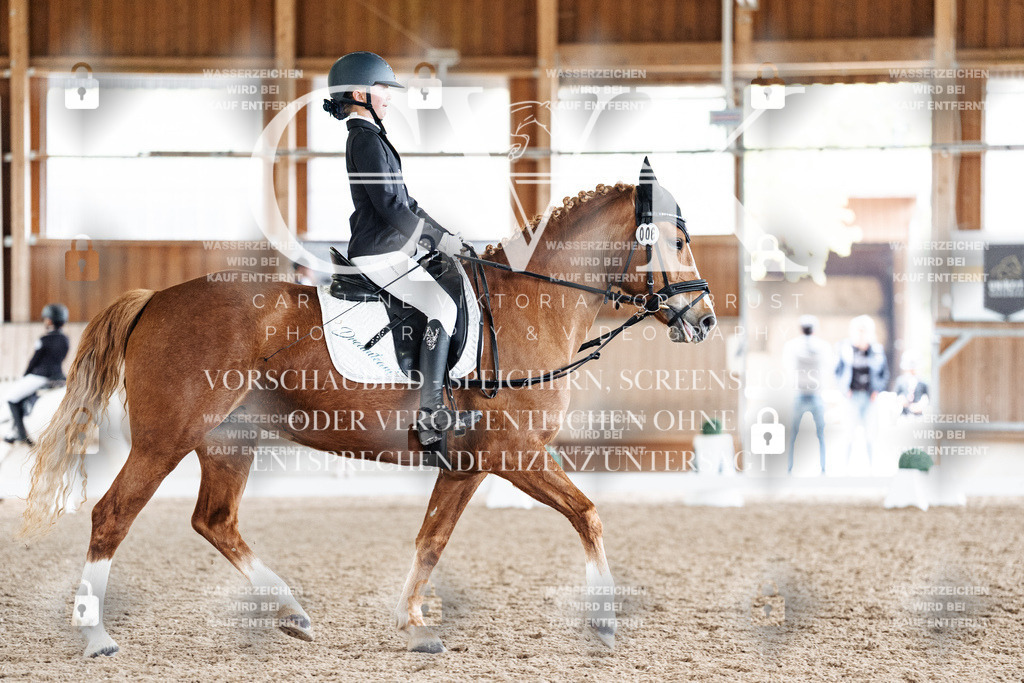 CK900861 | Turnierfotografie Pferdefotografie Trier Rheinland-Pfalz Pferdesport Reitsport Tierfotografie Sportfotografie Pferdevideo Pferdevideografie Equestrianvideography equestrianphotography  - Realisiert mit Pictrs.com