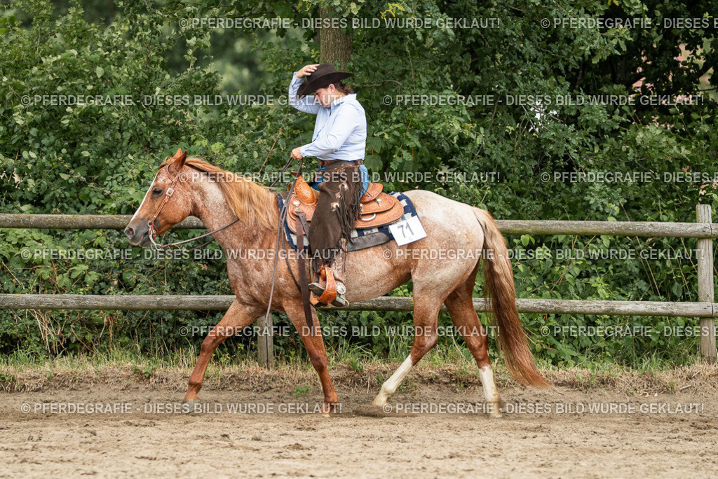 DSC04172 | Pferdegrafie