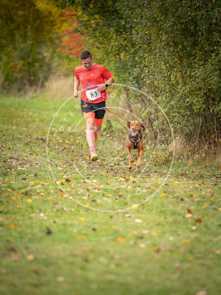 Pfotenfotografie_DV3A3083 | Hundefotografie, Tierfotograf, Pfotenfotografie, Fotoshooting Hund, Hunde Portrait, Hundesport, Hundeportraits, Heideshooting, Hunde, Sportfotograf, Hundefotograf, Turnierhundsport, THS,  - Realisiert mit Pictrs.com