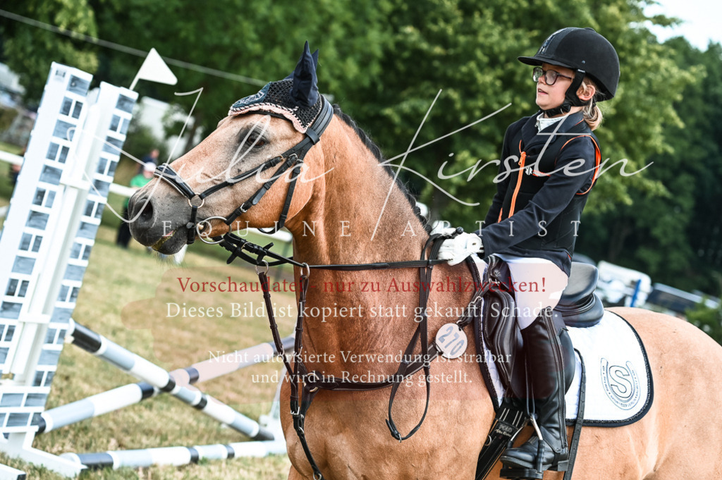 DSC_9700 | Pferde- und Turnierfotografie in Westsachsen. Pferdeportraits, Auftragszeichnungen und intuitive Kunst.