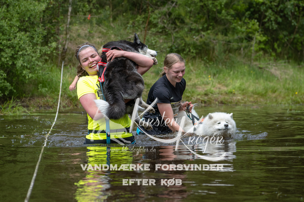 1114DKK994501 | kk-dogfotos