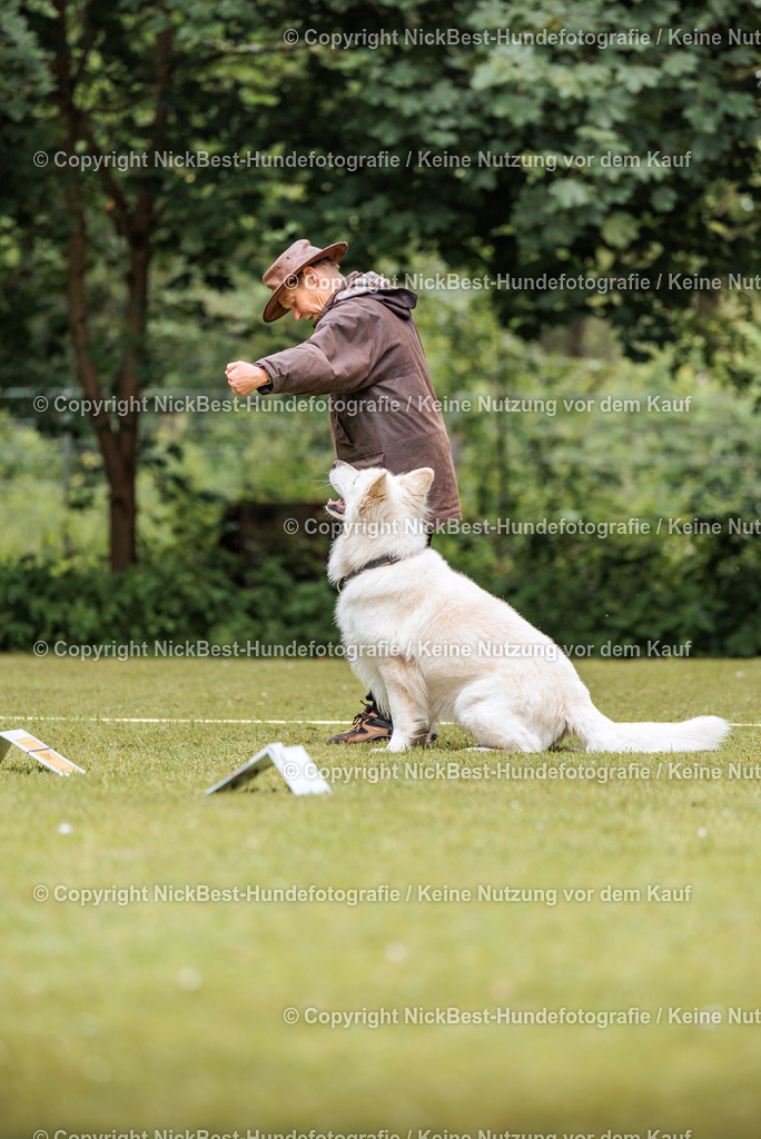 RO-Blumenthal-2026-Nickbest-Hundefotografie-1987 | Dein Hund! Dein Moment! Deine Erinnerungen! Hundefotografie in Bremen Blumenthal. Ich fange die besonderen Momente deines Vierbeiners ein – ob Indoor mit Blitzanlage oder in der freien Natur. Sicher dir dein Moment und dein Termin für eure Erinnerungen.