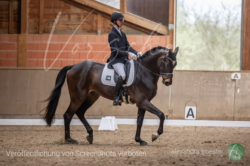 260328_Barop_00_003 | farbklaex.com