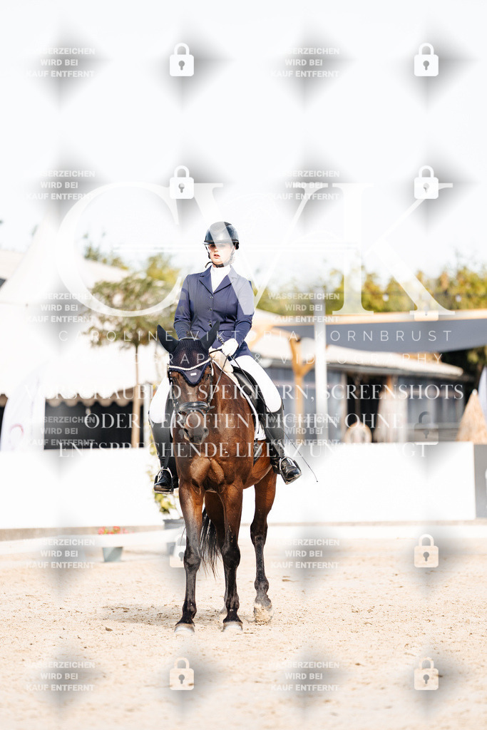 CK905100 | Turnierfotografie Pferdefotografie Trier Rheinland-Pfalz Pferdesport Reitsport Tierfotografie Sportfotografie Pferdevideo Pferdevideografie Equestrianvideography equestrianphotography  - Realisiert mit Pictrs.com