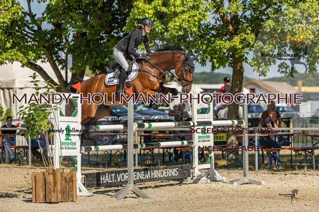 26-7-24 SPF M+-137 | mandyhollmannphotographie