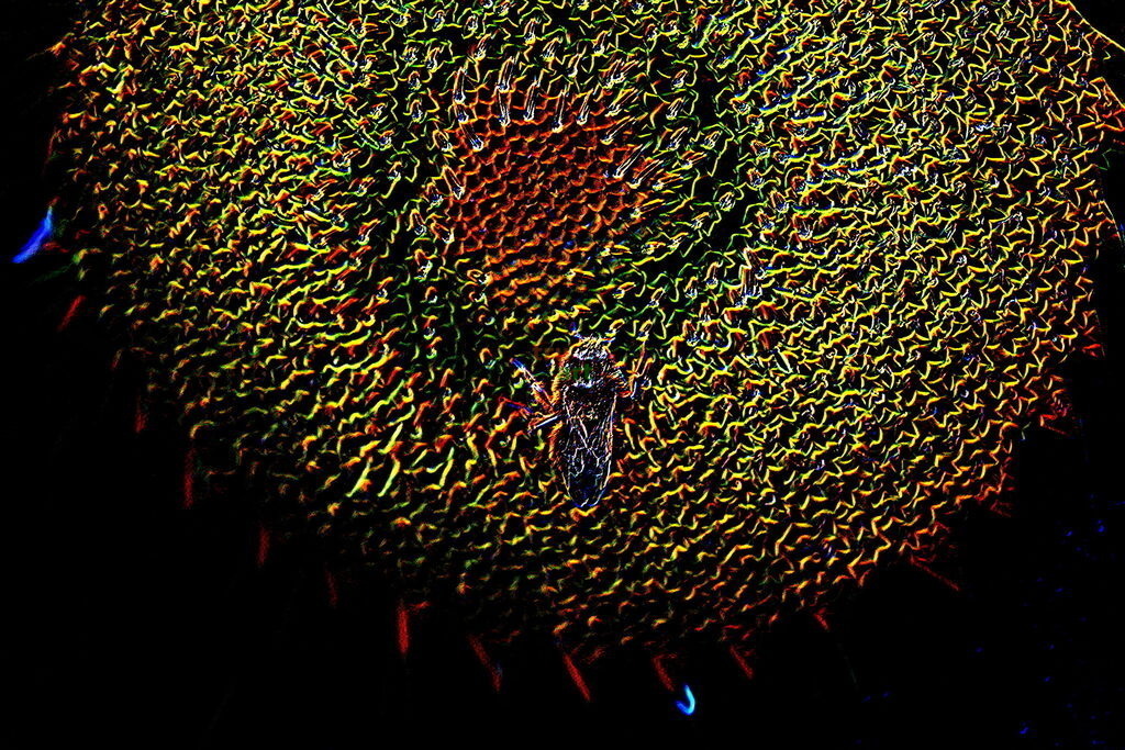 Find your inner peace | Moderne Digital Art – Exklusive Kunstwerke für dein Zuhause
Entdecke einzigartige Digital Art und verleihe deinen Räumen eine moderne und stilvolle Atmosphäre. Unsere hochwertigen Kunstdrucke kombinieren innovative Technik mit künstlerischer Kreativität und bringen abstrakte, geometrische und futuristische Designs direkt an deine Wand.
✔ Hochauflösende Drucke in brillanten Farben
✔ Exklusive Motive von talentierten Digital Artists
✔ Verschiedene Formate für jeden Raum und Stil
✔ Perfekt als Wandkunst für Wohnzimmer, Büro oder Galerie
Lass dich von unserer modernen, abstrakten und minimalistischen Kunst inspirieren und finde dein neues Lieblingsmotiv! Jetzt bestellen und dein Zuhause mit hochwertiger Digital Art verschönern.
 - Realisiert mit Pictrs.com