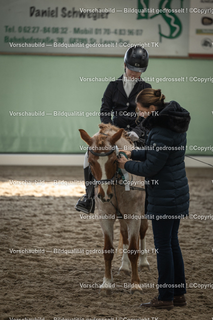 _D5A5867 | Emotionale Pferde- & People-Fotografie rund um Heidelberg, Leimen & Umgebung. Natürliche Fotos von Pferd, Mensch & Familie. Jetzt Termin sichern!