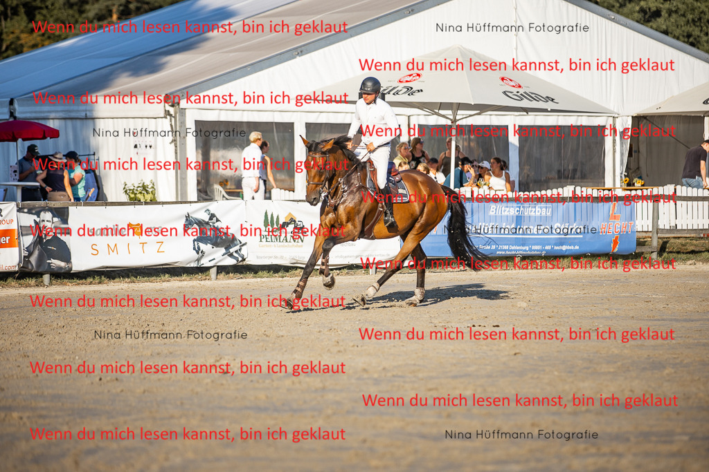 BK1A8860 | Turnierbilder Turnierfotos Nina Hüffmann Turnierfotografie Pferdefotografie Tierzeichnung Haustierzeichnung Pferdezeichnung Hundezeichnung Videograf  - Realisiert mit Pictrs.com