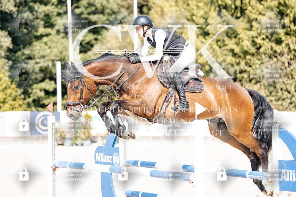 CK902197 | Turnierfotografie Pferdefotografie Trier Rheinland-Pfalz Pferdesport Reitsport Tierfotografie Sportfotografie Pferdevideo Pferdevideografie Equestrianvideography equestrianphotography  - Realisiert mit Pictrs.com