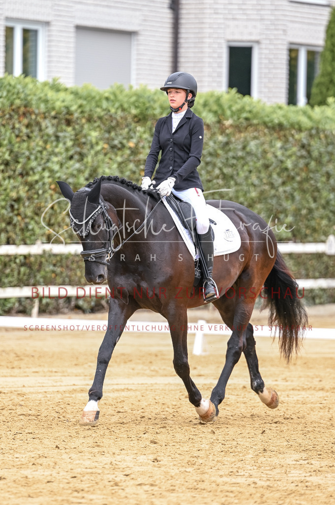 Schugtsche-Aluta25-43.EDressur -125 | Schugtsche Fotografie - Realisiert mit Pictrs.com