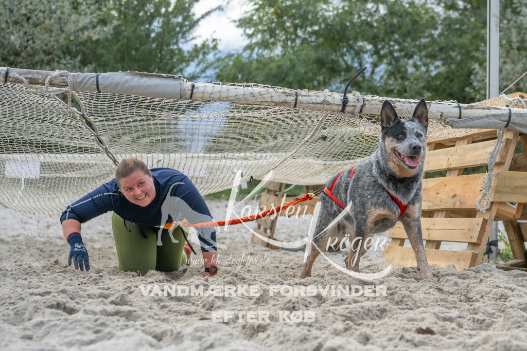 1134_ZZ97849 | kk-dogfotos