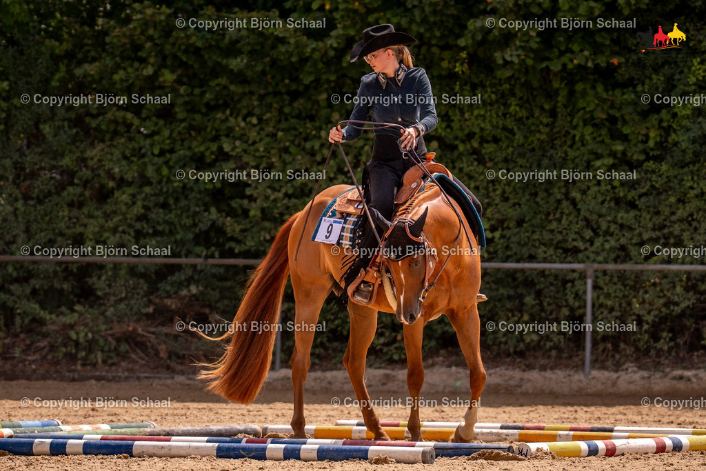 LMB04004 | BS-foto