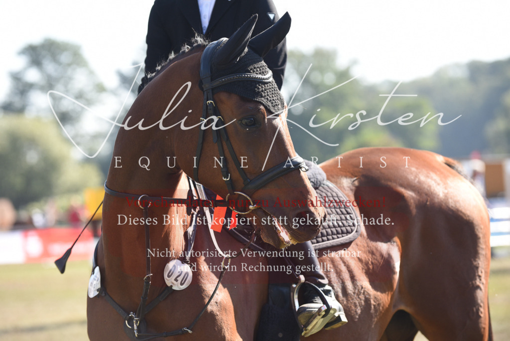 DSC_5473 | Pferde- und Turnierfotografie in Westsachsen. Pferdeportraits, Auftragszeichnungen und intuitive Kunst.