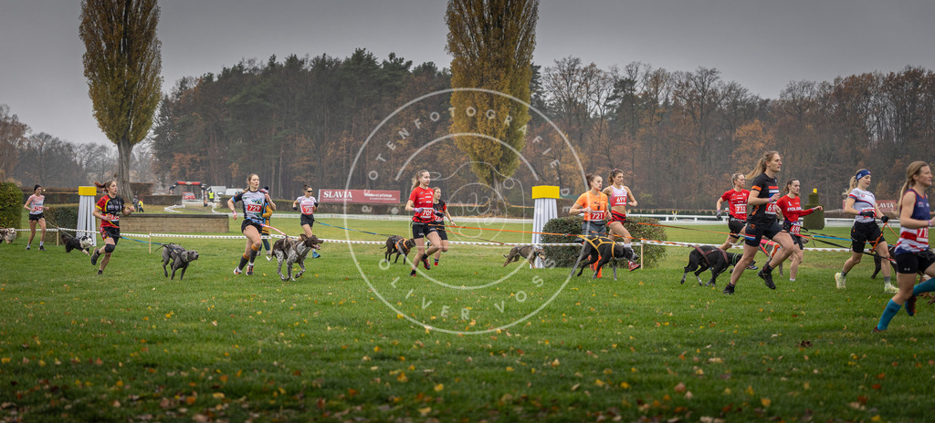 CaniXpix_DV3A8814 | Hundefotografie, Tierfotograf, Pfotenfotografie, Fotoshooting Hund, Hunde Portrait, Hundesport, Hundeportraits, Heideshooting, Hunde, Sportfotograf, Hundefotograf, Turnierhundsport, THS,  - Realisiert mit Pictrs.com