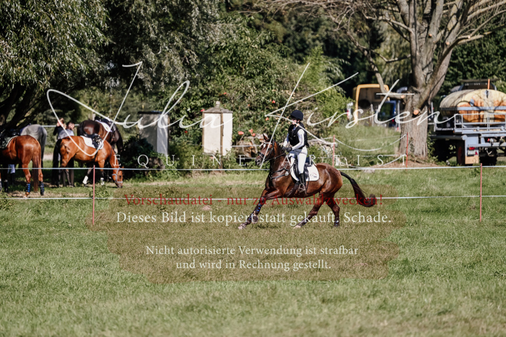 DSC_2745 | Pferde- und Turnierfotografie in Westsachsen. Pferdeportraits, Auftragszeichnungen und intuitive Kunst.