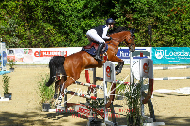 DKP43288 | Turnierfotos kaufen im Webshop von Daniel Kuhl Photography – entdecke professionelle Reitsportfotos aus Turnieren & Events. Hochwertige Turnierbilder online bestellen & sichern. Jetzt Fotos von Reitsportturnieren kaufen!
