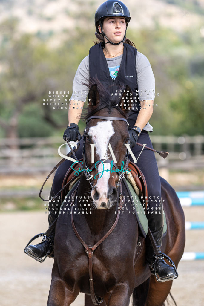 IMG_3648 | s-jay-photography - Realisiert mit Pictrs.com