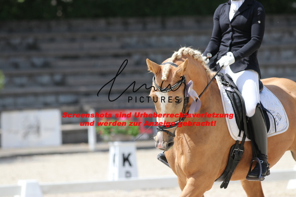 IMG_4676 | lmwpictures - Realisiert mit Pictrs.com