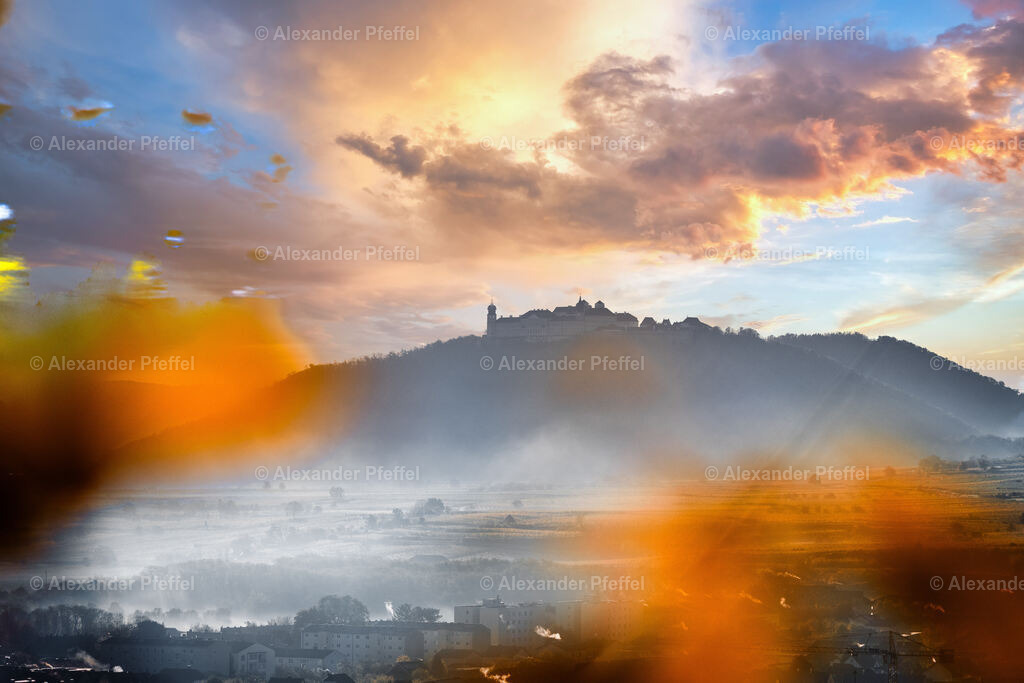 foto_c_pfeffel-partner-0107-R52_0392-Bearbeitet | alexander-pfeffel - Realisiert mit Pictrs.com