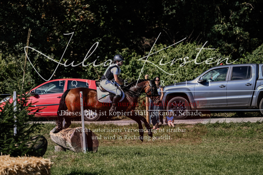 DSC_1512 | Pferde- und Turnierfotografie in Westsachsen. Pferdeportraits, Auftragszeichnungen und intuitive Kunst.