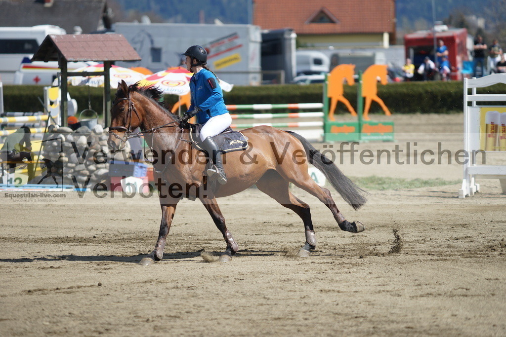 DSC03020 | equestrian-live-com