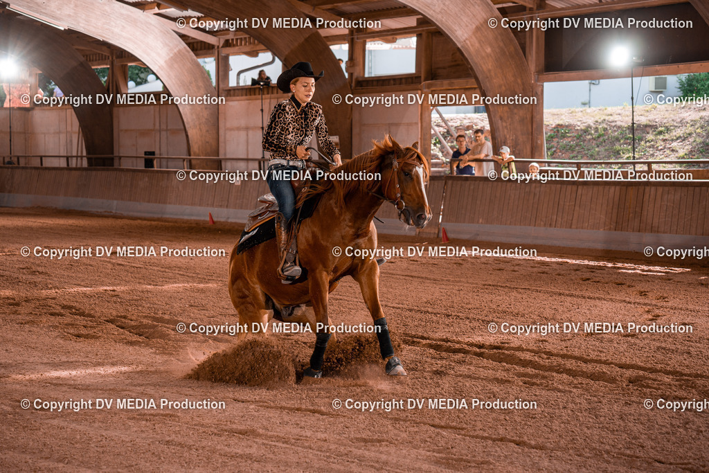 NE201212 | dv-media-shop - Realisiert mit Pictrs.com