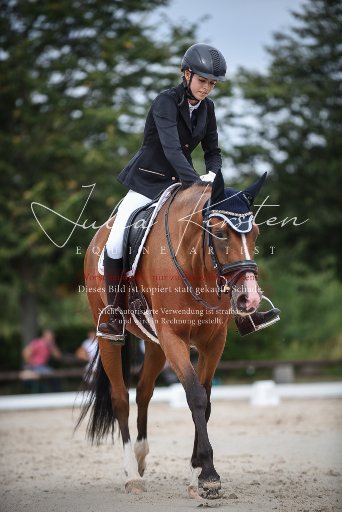 DSC_8436 | Pferde- und Turnierfotografie in Westsachsen. Pferdeportraits, Auftragszeichnungen und intuitive Kunst.