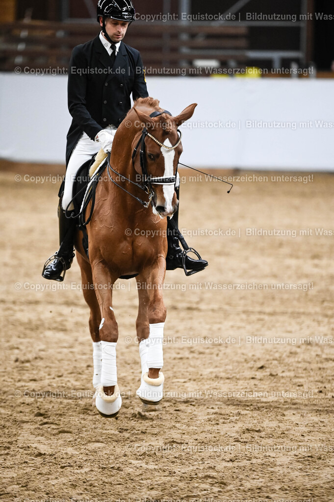 20260307_Hengstvorstellung-Marbach_0326 | equistock