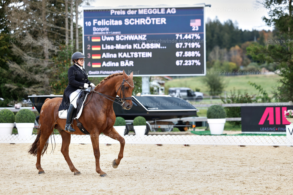 11-023-Dressur S___-StoibPH-1128 | working equitationturnier fotograf videograf stoibphotography marixx film working equitation deutschland reitsport turnierfotografie eventfotografie equestrian events