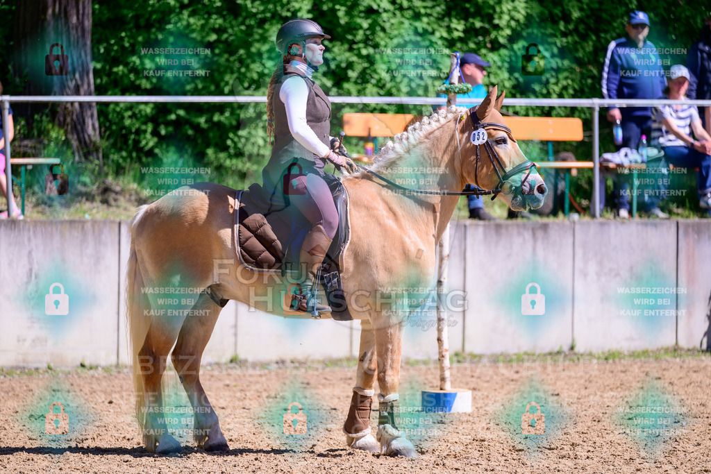 01052026-Giesenbach-02-Stiltrail-0482 | Fokus Hufschlag Fotografie - Realisiert mit Pictrs.com