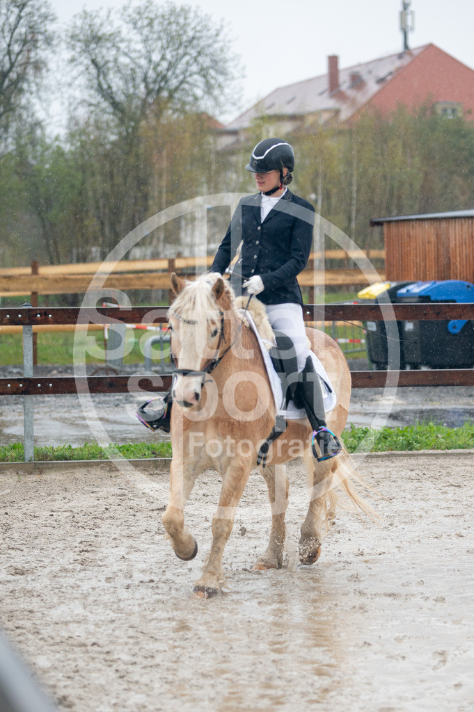 DSC_7167 | sattelsport - Realisiert mit Pictrs.com