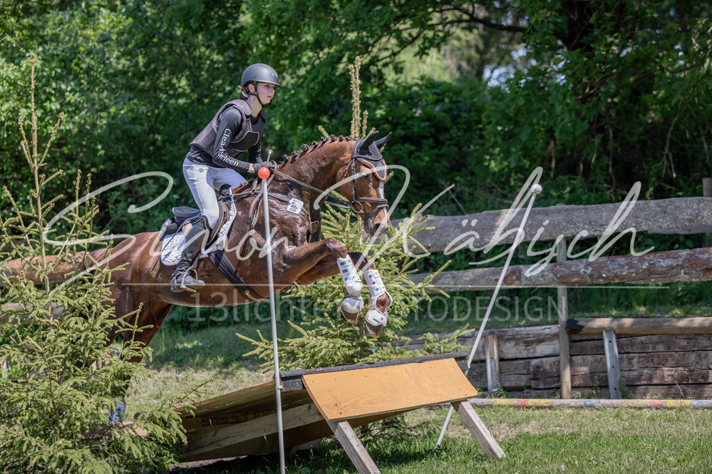 20260523-_3LI8671 | Tierfotografie Pferde, Hunde, Katzen, Haustiere.
Turnierfotografie Reitturniere, Reiten, Springreiten, Dressur in Hanau, dem Main-Kinzig-Kreis und dem Rhein-Main- Gebiet um Frankfurt