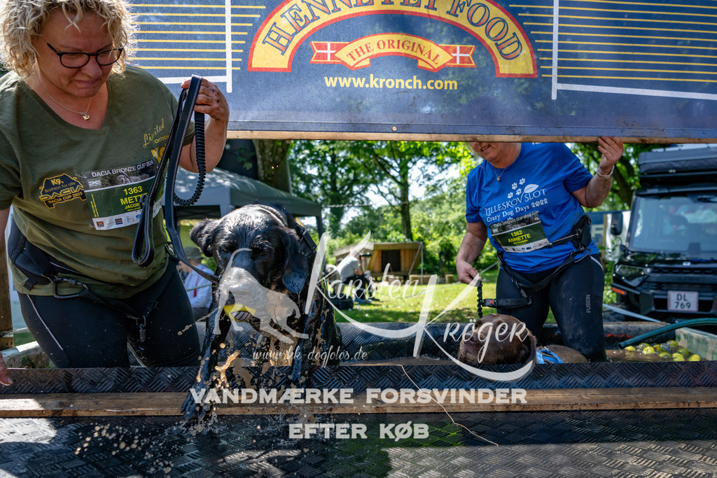 1313_ZZ90838 | kk-dogfotos