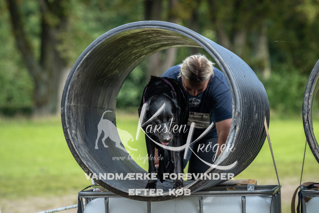 1327_ZZ93209 | kk-dogfotos