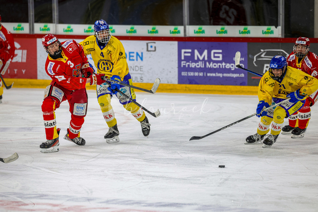 EHCB vs HCD-0111 | Sportbilder, Sportfotograf, Hochzeits- und Eventfotografin, Flugshows, Portraits und Tiershooting, Aviation, Downhill, Nationalleague, Swissleague, International
