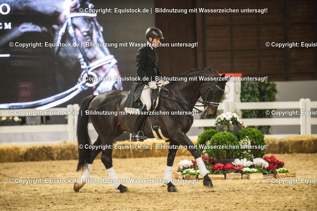 20240302_Hengstvorstellung_Marbach_TOMsPiC_1465 | equistock