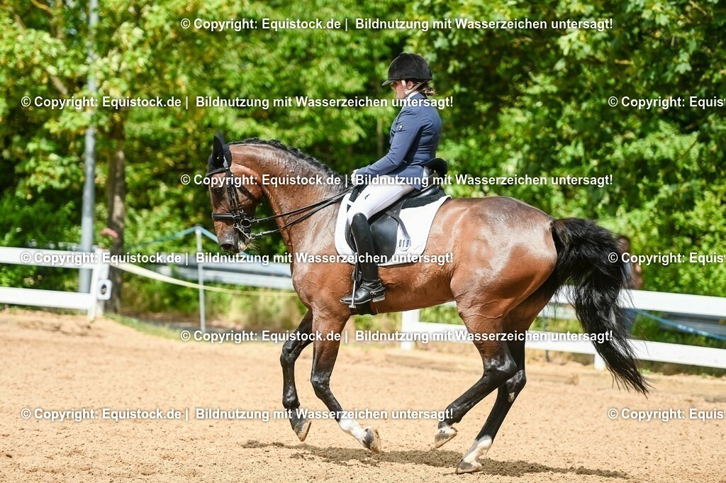 20230716_01_Dressurprüfung Kl.M_0187 | equistock