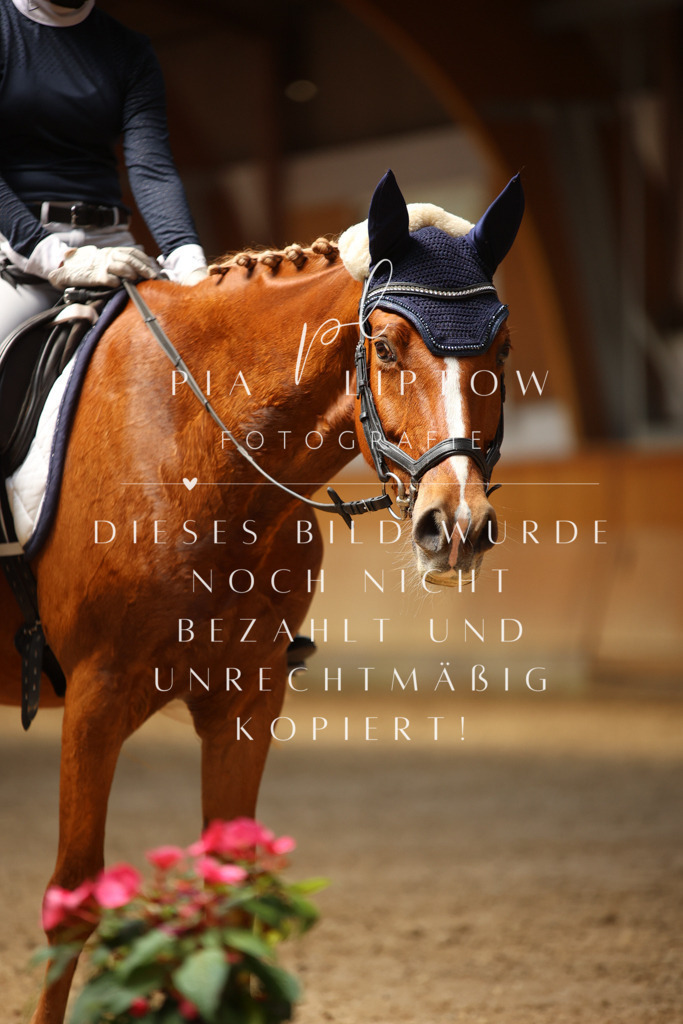 IMGM6292 | pl-fotografie