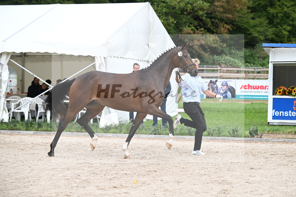 Kat-Nr. 28 Farella_Birkenmayer_49220974 | hf-fotografie - Realizzato con Pictrs.com