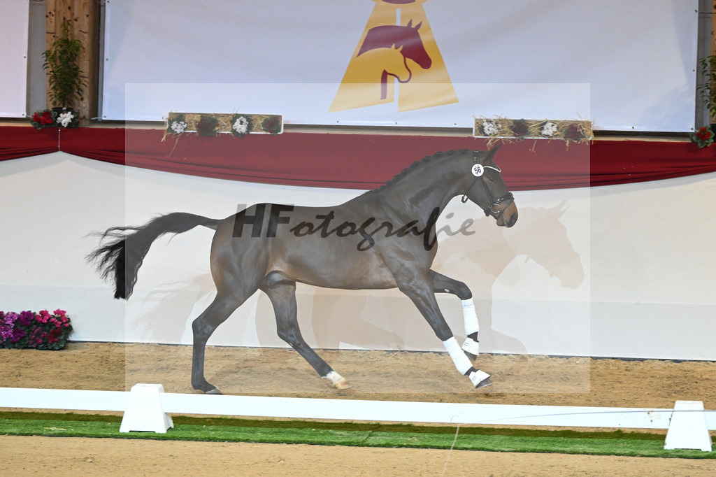 Kat-Nr. 56 Fuerst Samarant_Beckmann_1230081 | hf-fotografie - Realisiert mit Pictrs.com