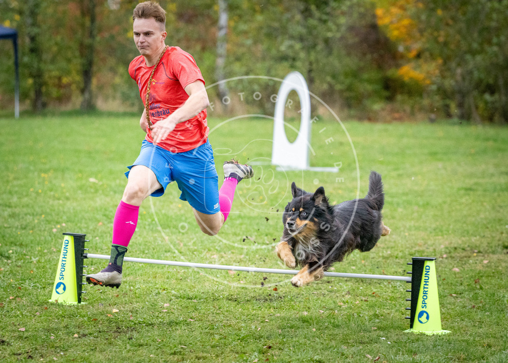 Pfotenfotografie_DV3A1433 | Hundefotografie, Tierfotograf, Pfotenfotografie, Fotoshooting Hund, Hunde Portrait, Hundesport, Hundeportraits, Heideshooting, Hunde, Sportfotograf, Hundefotograf, Turnierhundsport, THS,  - Realisiert mit Pictrs.com