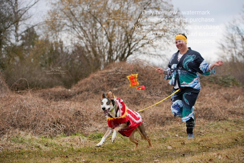 Fasching-64 | stephaniefillaphotographie - Realisiert mit Pictrs.com