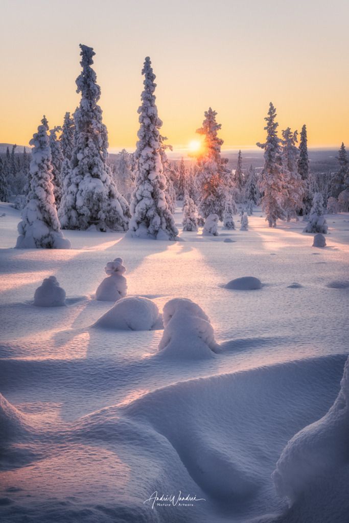 Abendstimmung in Lappland | Andre Wandrei - Nature Artworx - Realisiert mit Pictrs.com