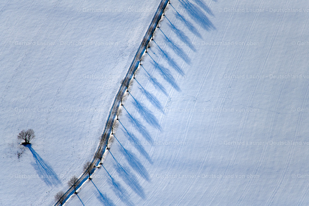 3900451 | winterliche Baumstrukturen bei Vilgertshofen