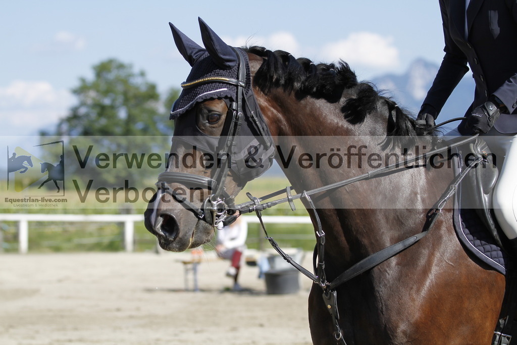 _MG_1729 | equestrian-live-com