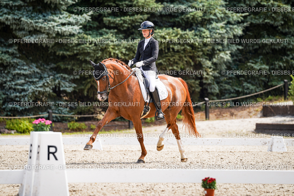 DSC00001 | Pferdegrafie