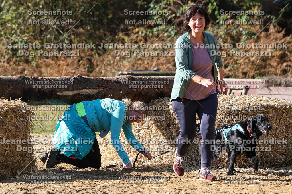 Dog Paparazzi - Strongdog 10-25-4769 | Dog Paparazzi Jeanette Grottendiek Fotografie & Videografie - Realisiert mit Pictrs.com