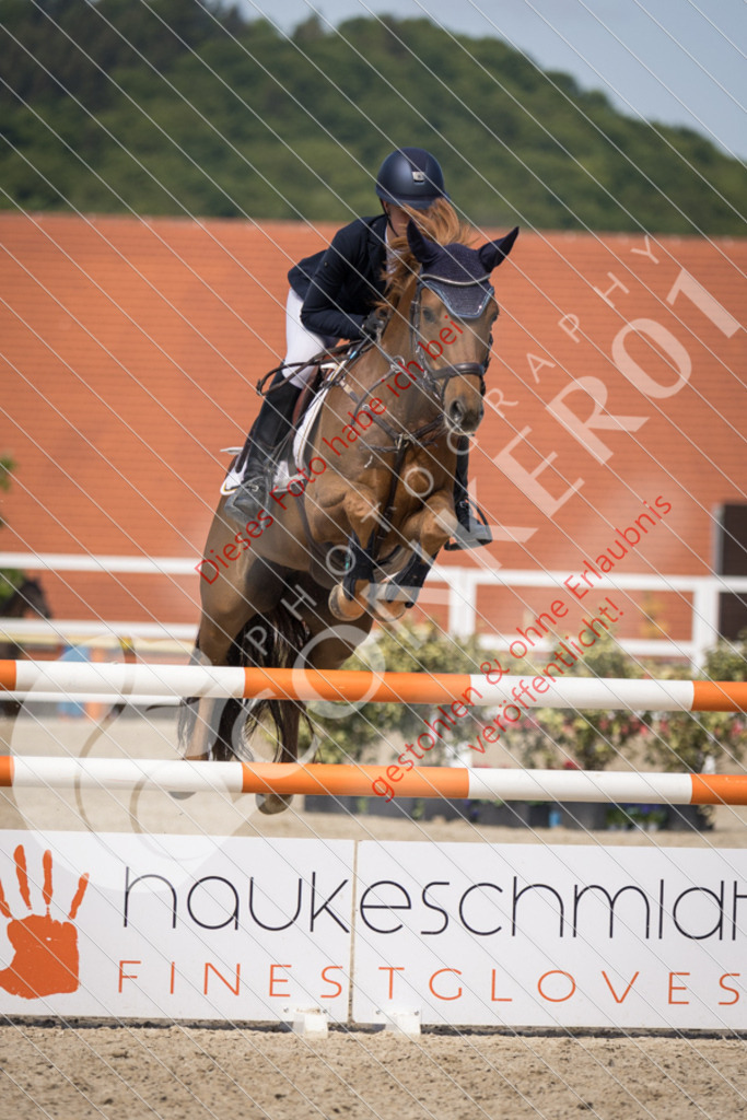 IMG_4714 | Sport-, Event- und Tierfotos in Profiqualität. Einfach auswählen, bestellen und herunterladen. Dein Moment – perfekt festgehalten.