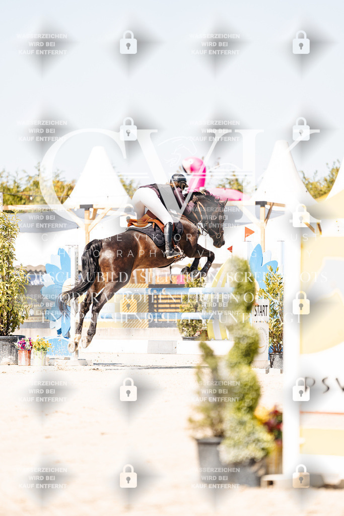 CK909428 | Turnierfotografie Pferdefotografie Trier Rheinland-Pfalz Pferdesport Reitsport Tierfotografie Sportfotografie Pferdevideo Pferdevideografie Equestrianvideography equestrianphotography  - Realisiert mit Pictrs.com