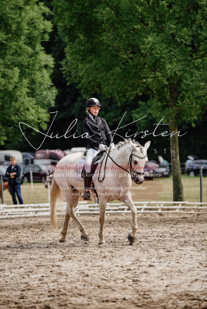 DSC_9482 | Pferde- und Turnierfotografie in Westsachsen. Pferdeportraits, Auftragszeichnungen und intuitive Kunst.